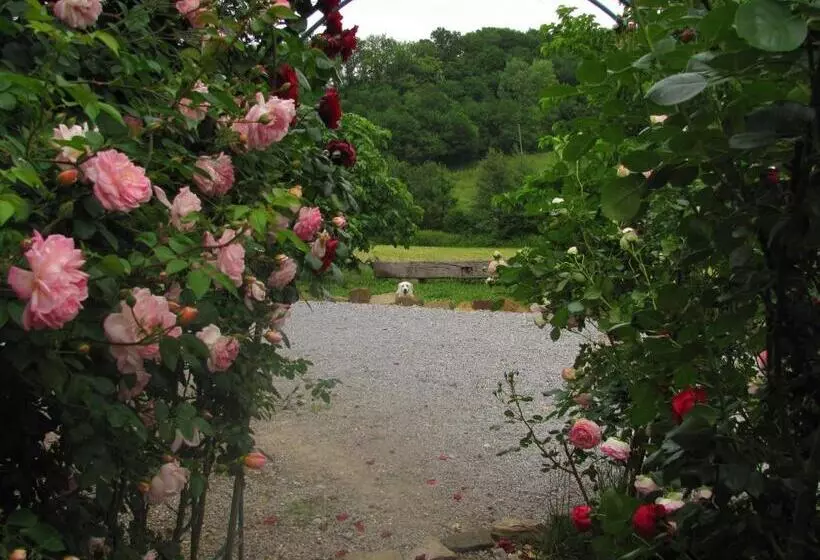 Aamiaismajoitus (B&B) Chambres D Hôtes Gelous