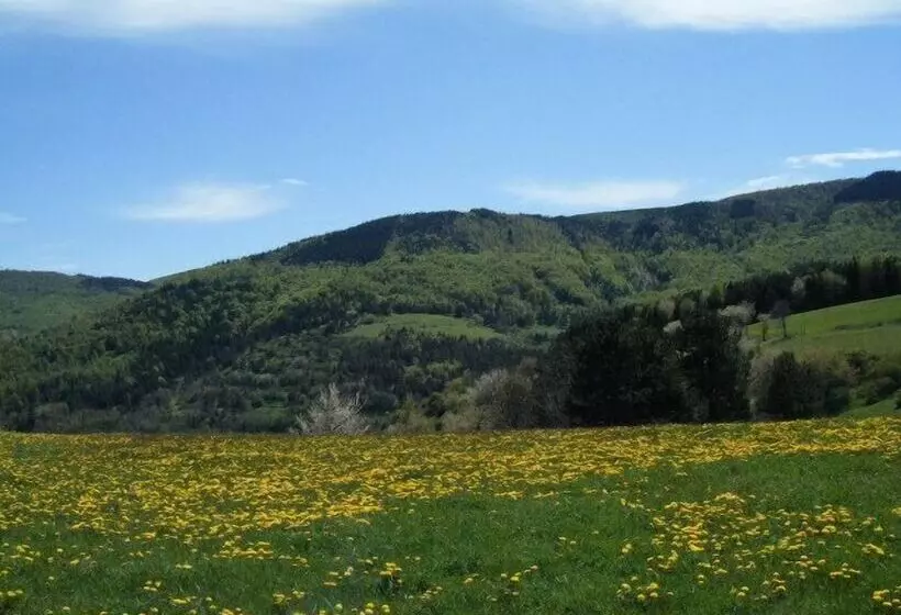 ベッドアンドブレックファースト L'atelier S