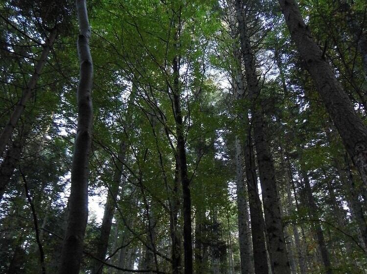 مبيت وإفطار L'atelier S