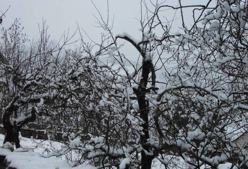 مبيت وإفطار L'atelier S