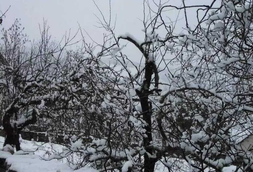 ベッドアンドブレックファースト L'atelier S