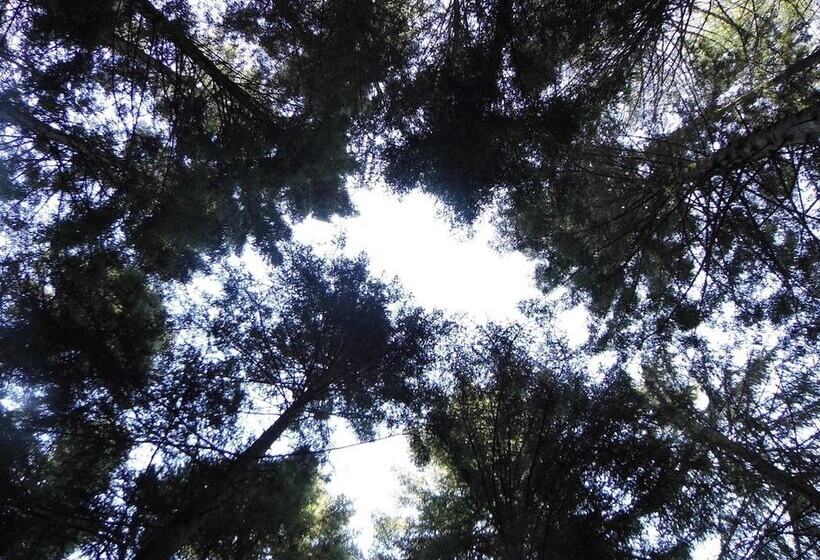 مبيت وإفطار L'atelier S