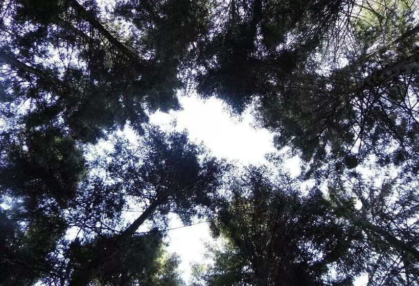 ベッドアンドブレックファースト L'atelier S