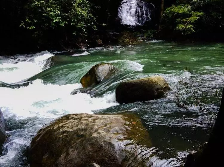 Hotelli Khao Sok Island Resort And Spa