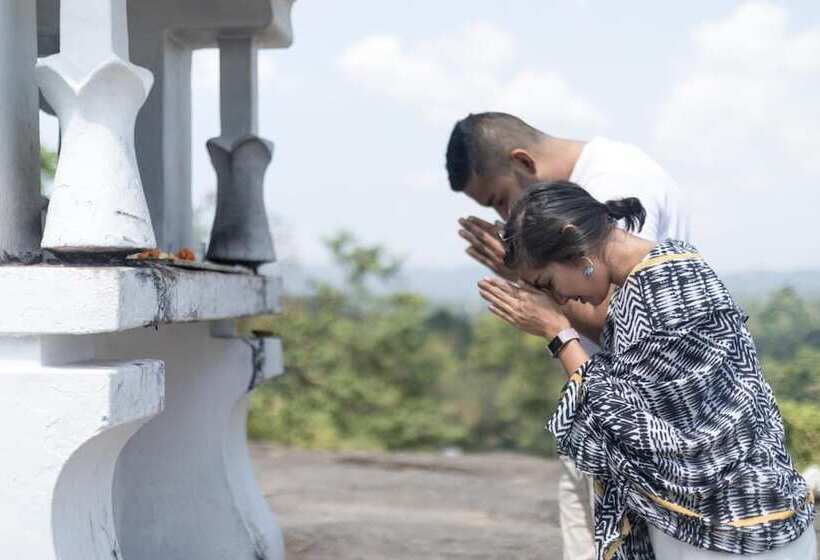 Отель Mount Havana