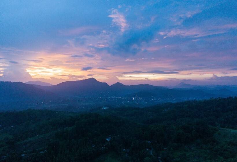 Отель Mount Havana