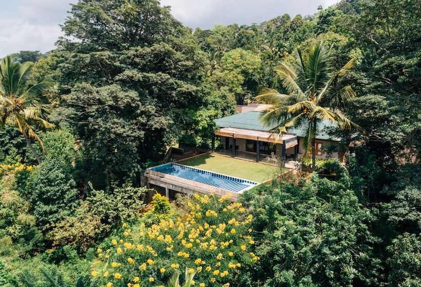 Отель Mount Havana