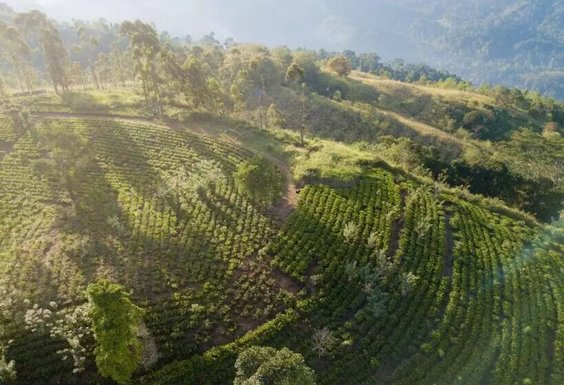 Hotelli Mount Havana