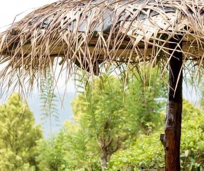 Hotelli Mount Havana