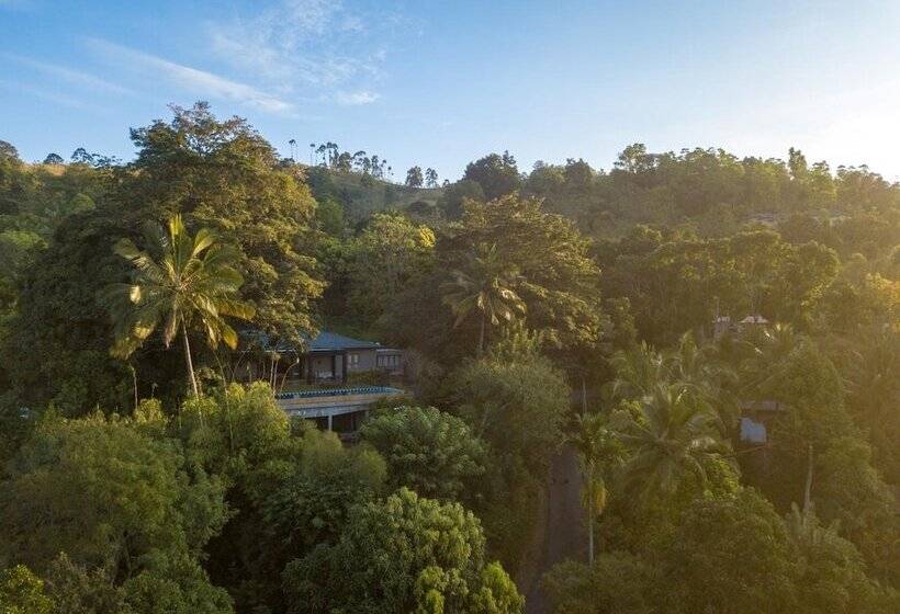 Отель Mount Havana