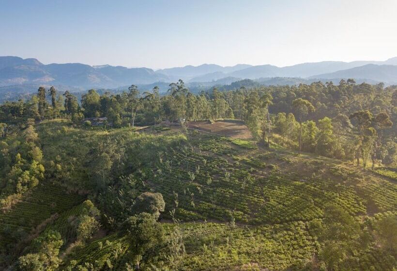 Отель Mount Havana