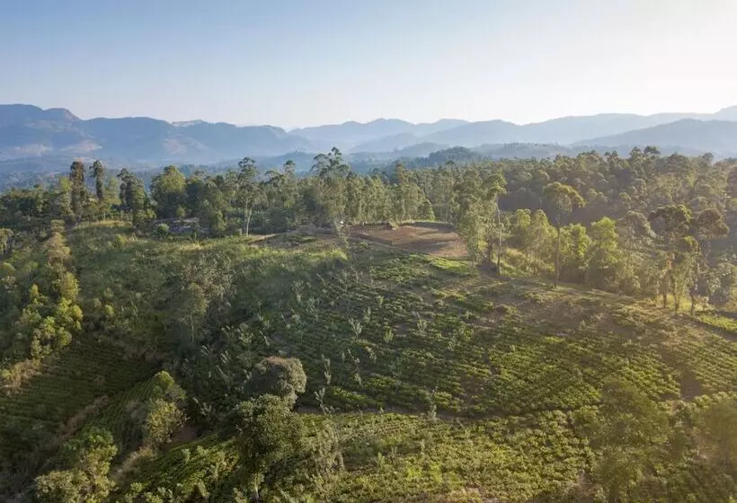 Hotelli Mount Havana