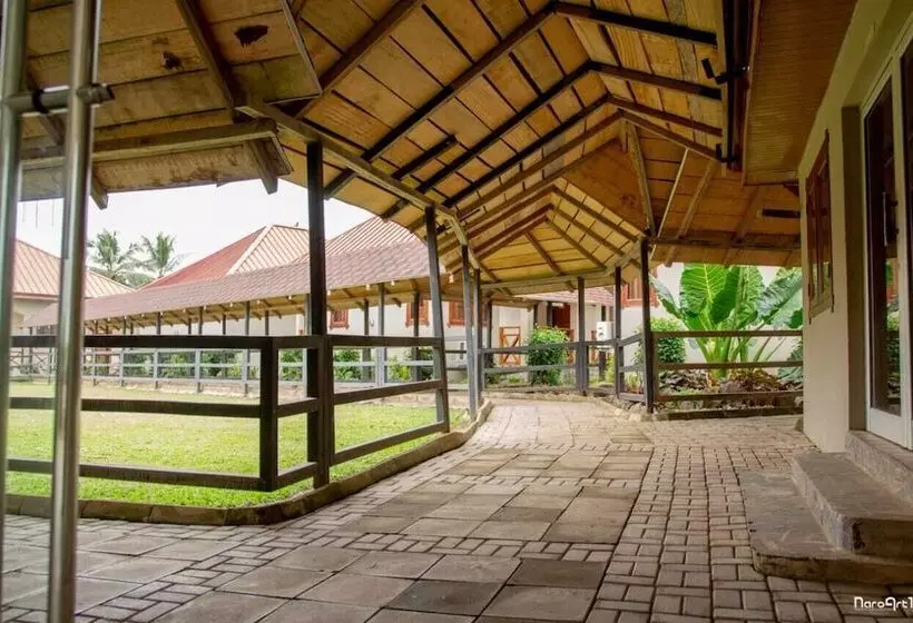 ホテル Rainforest Lodge