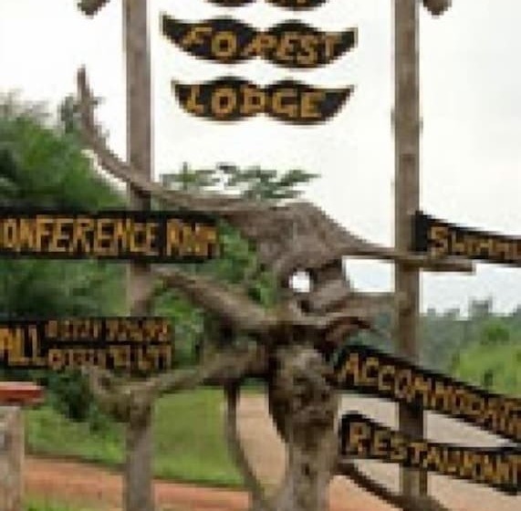 酒店 Rainforest Lodge