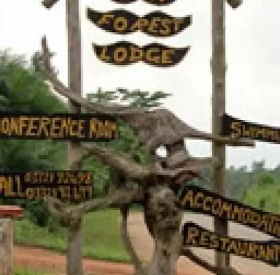 ホテル Rainforest Lodge