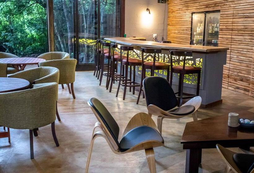 Отель Royal Thonga Safari Lodge