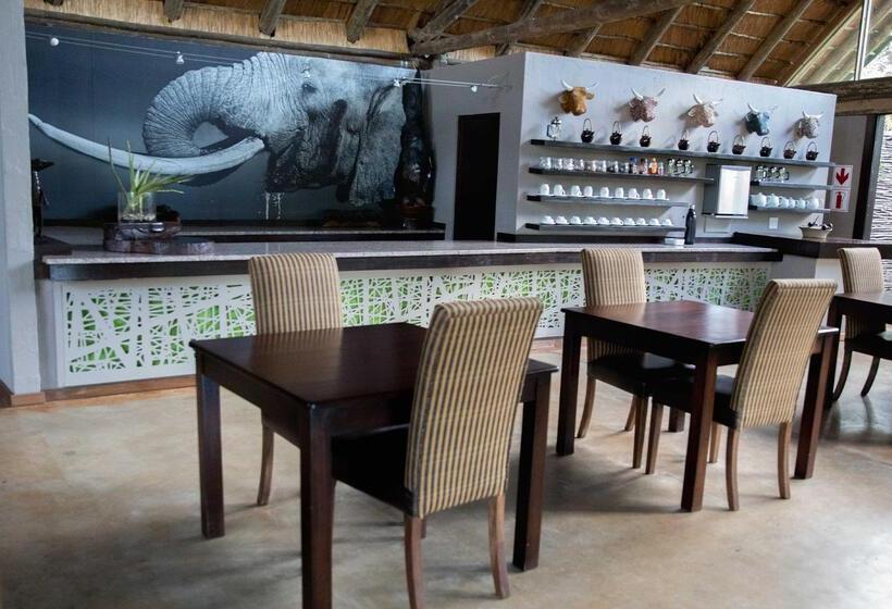 Отель Royal Thonga Safari Lodge