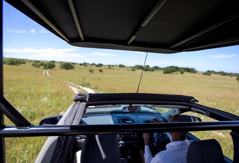 Отель Royal Thonga Safari Lodge