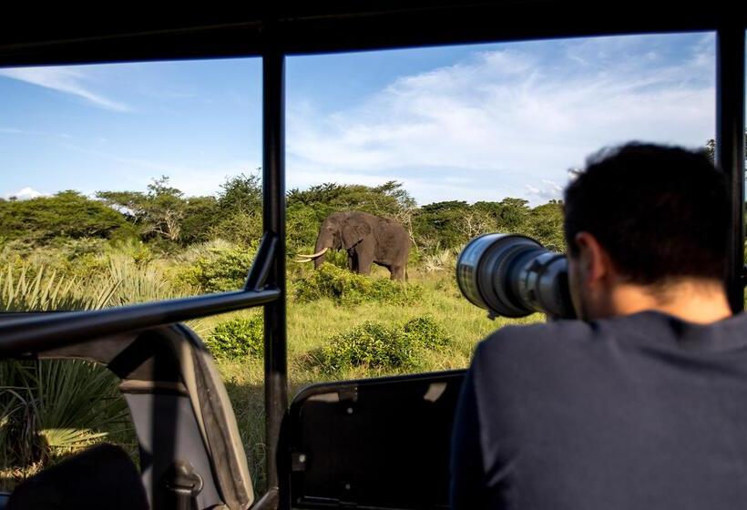 Отель Royal Thonga Safari Lodge