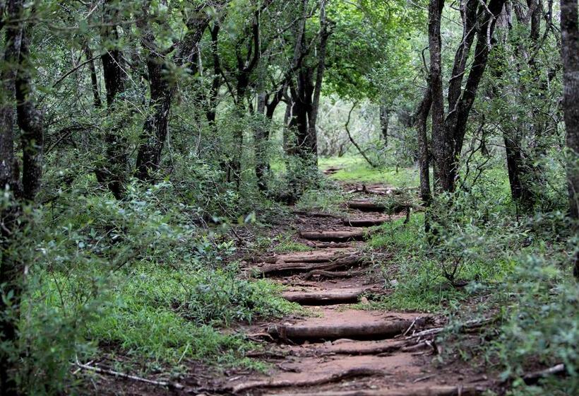 Отель Royal Thonga Safari Lodge