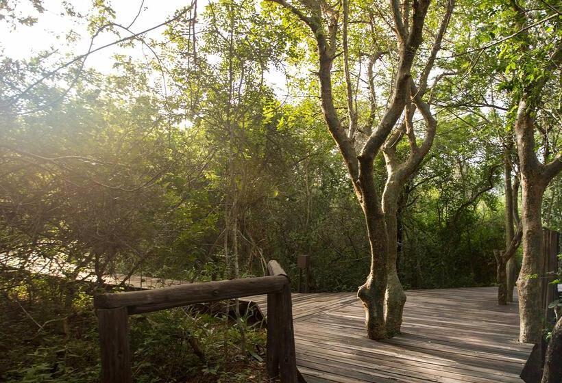 Отель Royal Thonga Safari Lodge