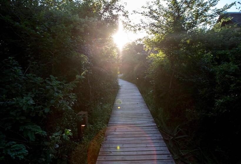 Отель Royal Thonga Safari Lodge