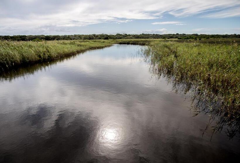 Отель Royal Thonga Safari Lodge