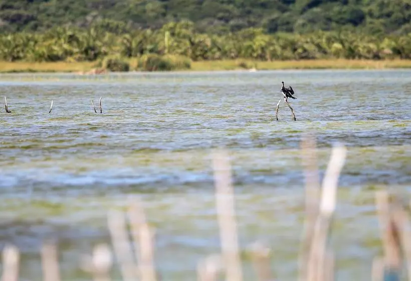 Hotelli Royal Thonga Safari Lodge