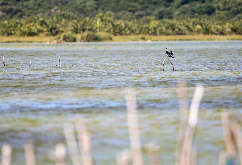 Отель Royal Thonga Safari Lodge