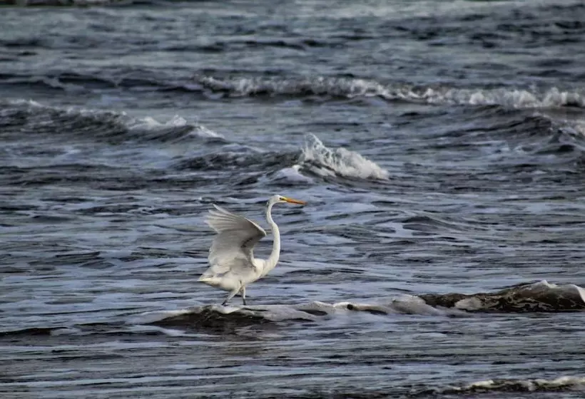 Hotelli Suite San Marcos 124 Gran Pacifica Resort