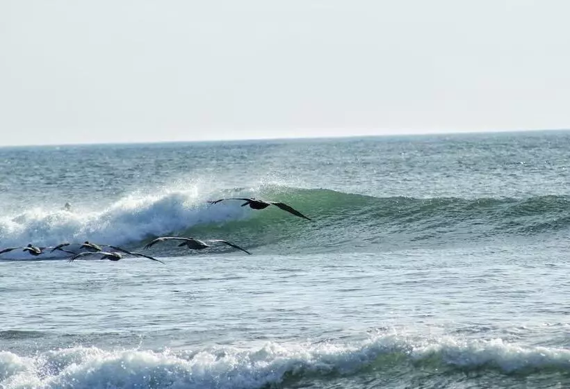 Hotelli Suite San Marcos 124 Gran Pacifica Resort