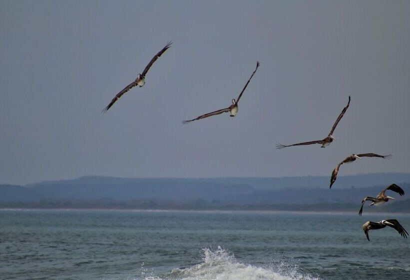 هتل Suite San Marcos 124 Gran Pacifica Resort