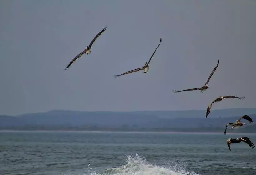 Hotelli Suite San Marcos 124 Gran Pacifica Resort