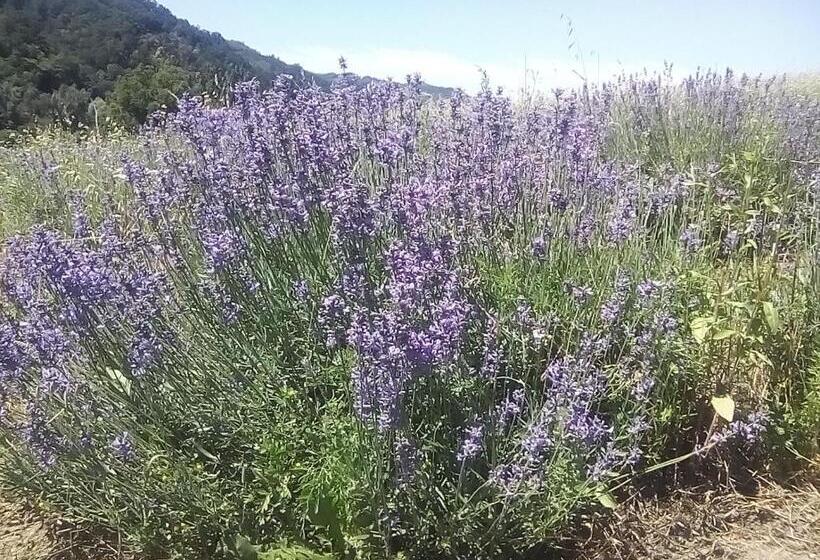 צימר La Locanda Del Molino