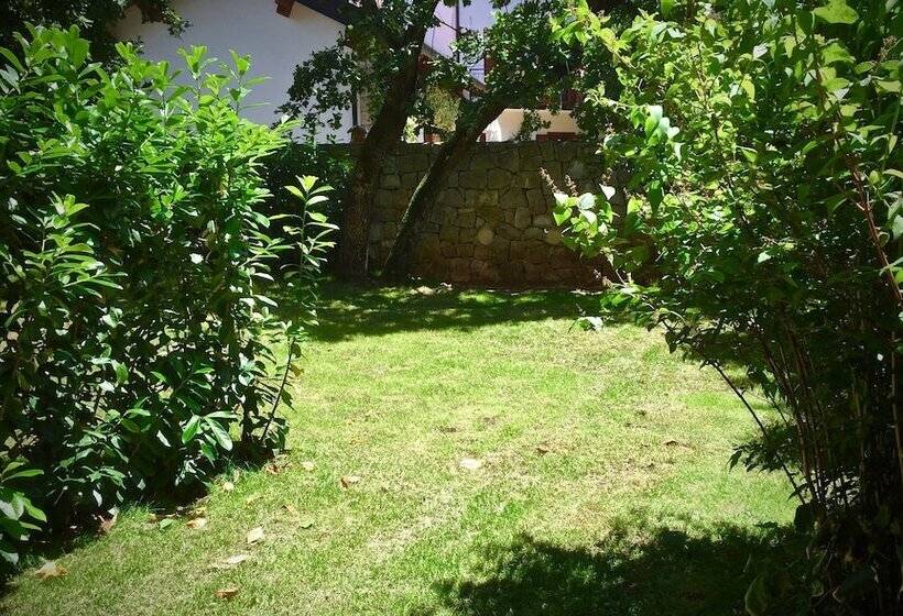 Bed and Breakfast Padriciano Suite