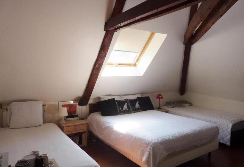 Château De Sainte Colombe Sur Gand