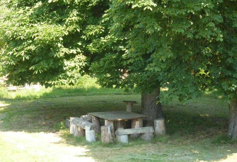 Château De Sainte Colombe Sur Gand