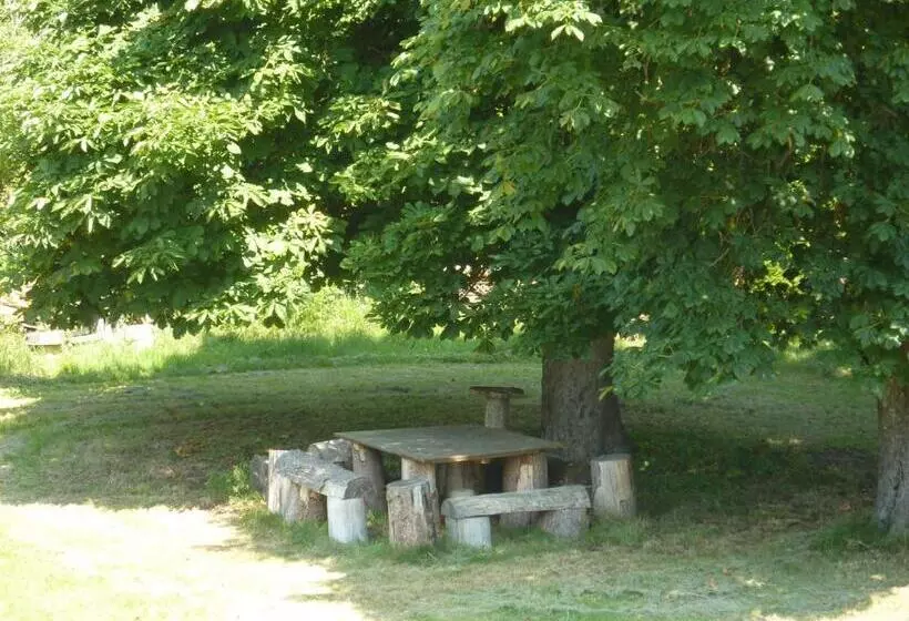 Château De Sainte Colombe Sur Gand