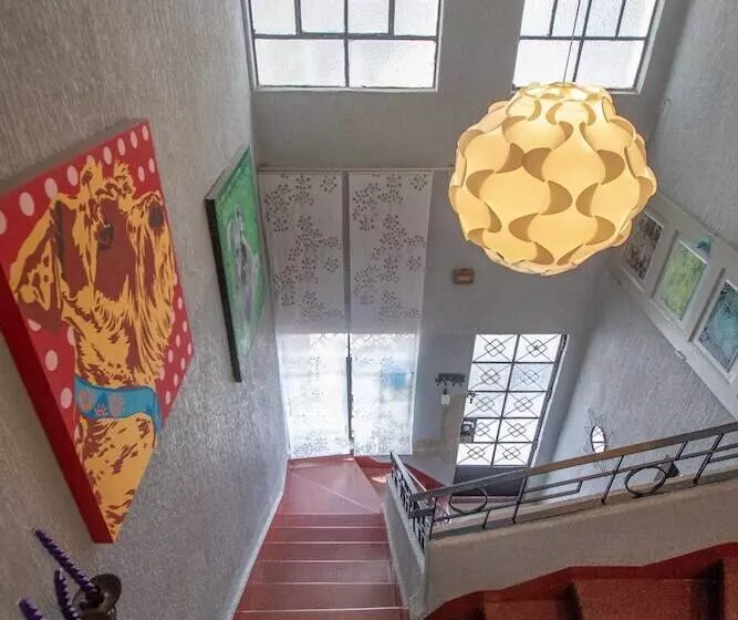 Condechi Bed And Breakfast