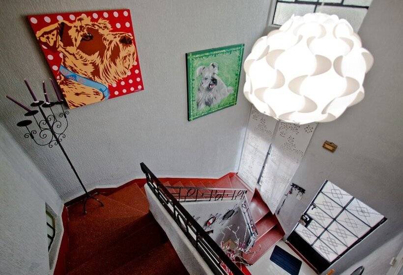 Condechi Bed And Breakfast