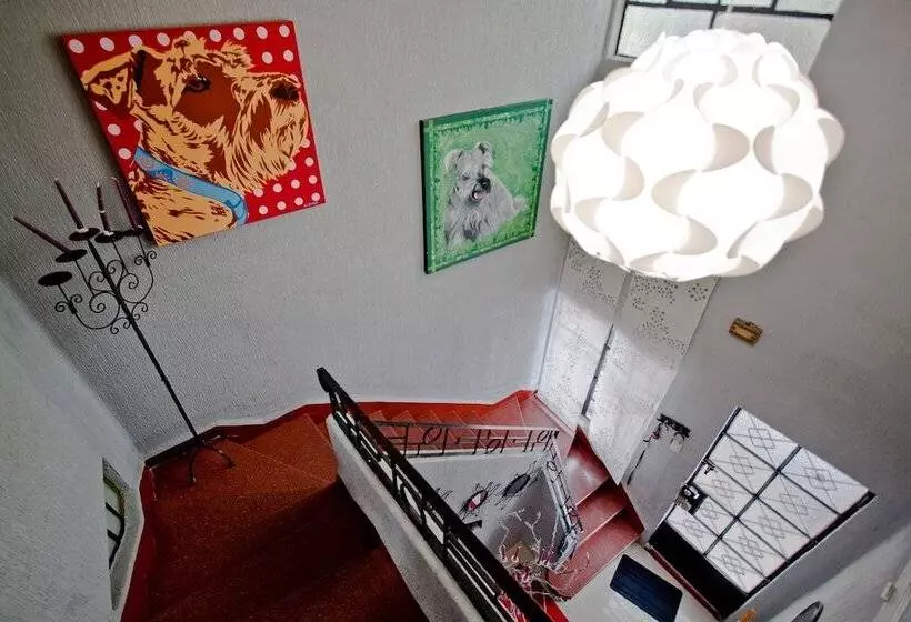 Condechi Bed And Breakfast