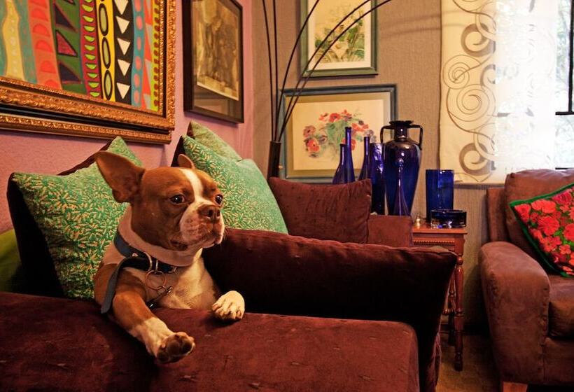 Condechi Bed And Breakfast