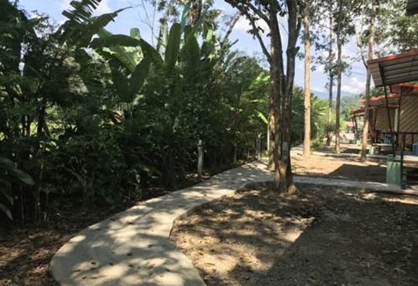Отель Khaosok Bamboo Huts Resort