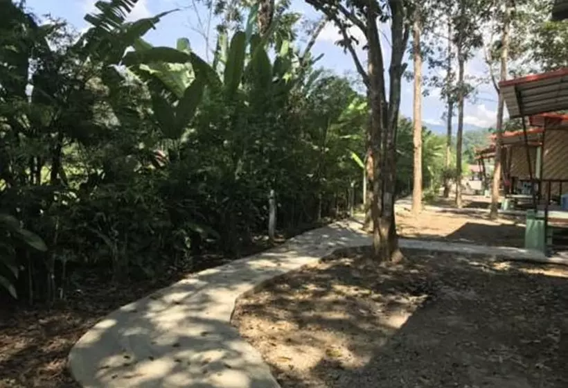 Hotelli Khaosok Bamboo Huts Resort