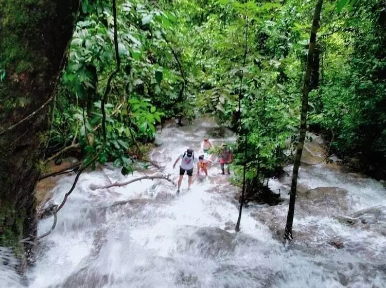 Hotelli Khaosok River Camp