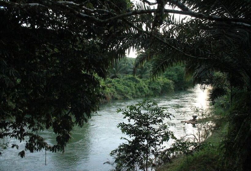 Отель Khaosok River Camp