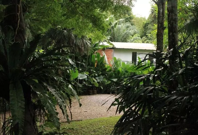 Hotelli Khaosok River Camp