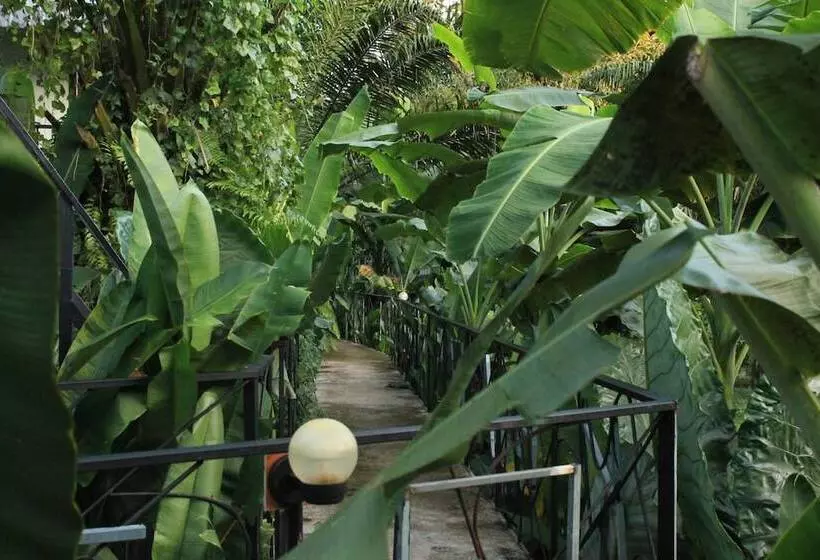 Hotelli Khaosok River Camp