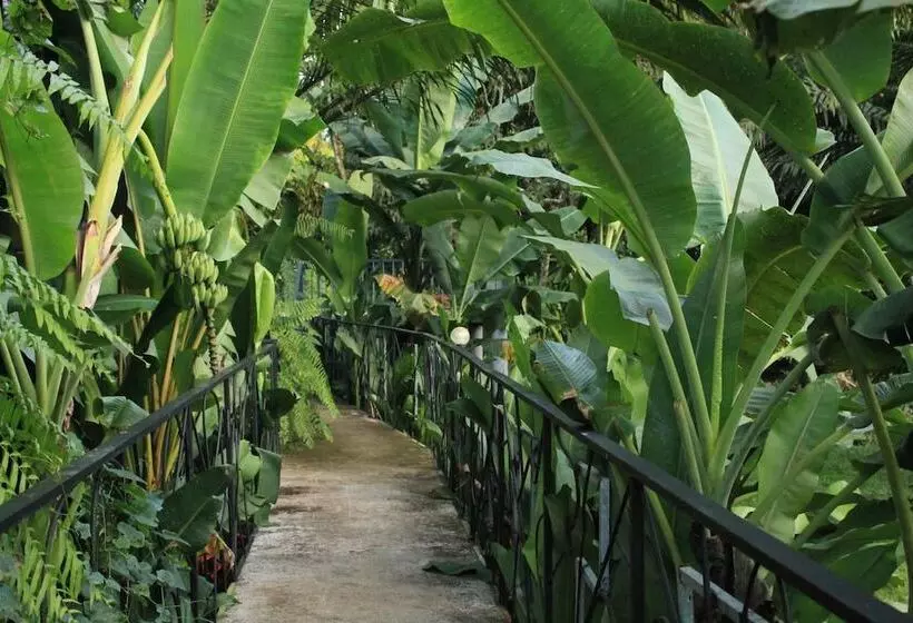 Hotelli Khaosok River Camp