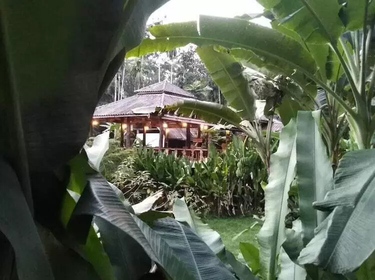 Hotelli Khaosok River Camp